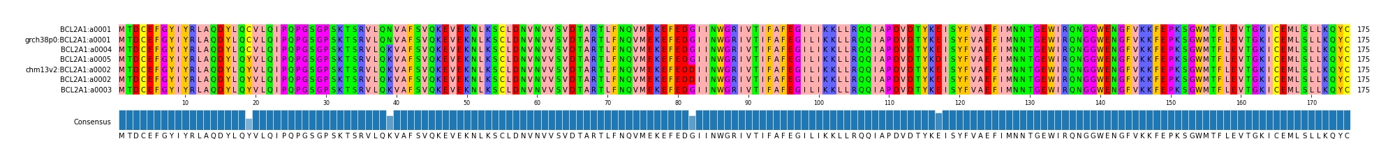 Multiple Alignments (by translate haplotype similarity)