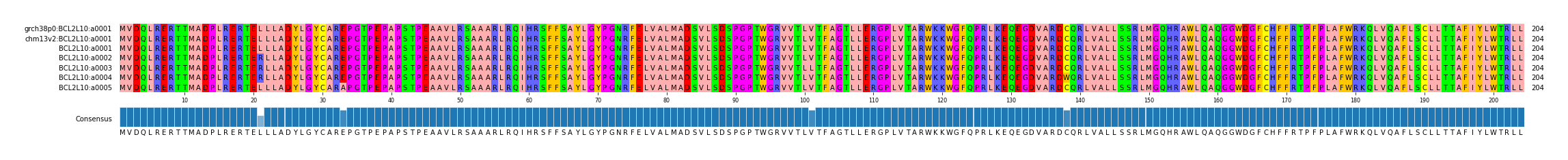 Multiple Alignments (by translate haplotype frequency)