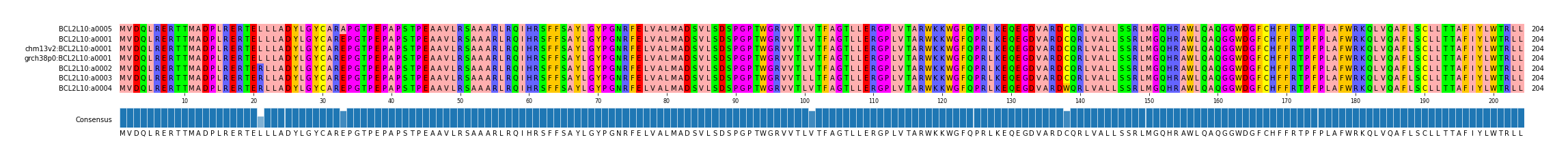 Multiple Alignments (by translate haplotype similarity)