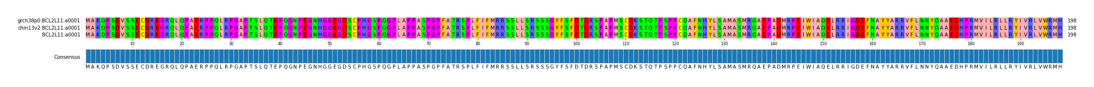 Multiple Alignments (by translate haplotype frequency)