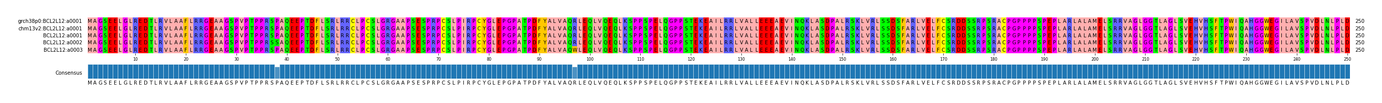 Multiple Alignments (by translate haplotype frequency)