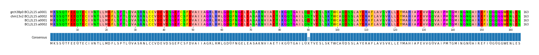 Multiple Alignments (by translate haplotype frequency)