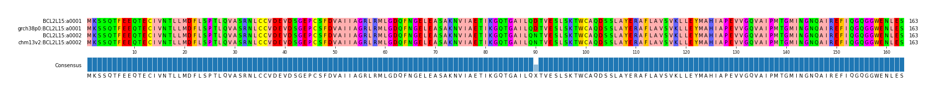 Multiple Alignments (by translate haplotype similarity)