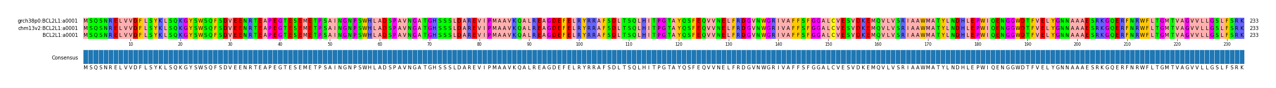 Multiple Alignments (by translate haplotype frequency)