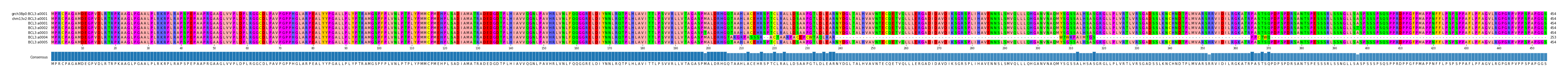 Multiple Alignments (by translate haplotype frequency)