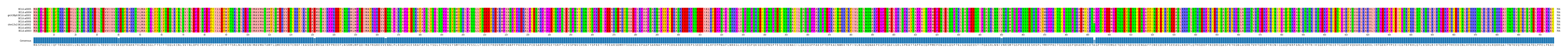 Multiple Alignments (by translate haplotype similarity)