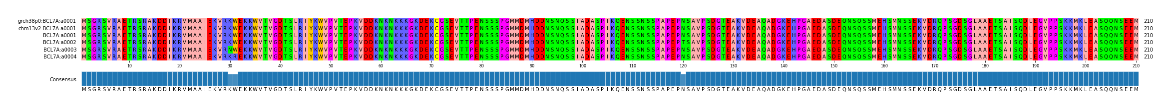 Multiple Alignments (by translate haplotype frequency)