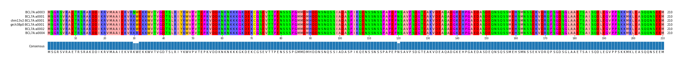Multiple Alignments (by translate haplotype similarity)