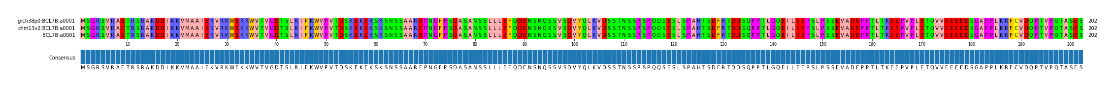 Multiple Alignments (by translate haplotype similarity)