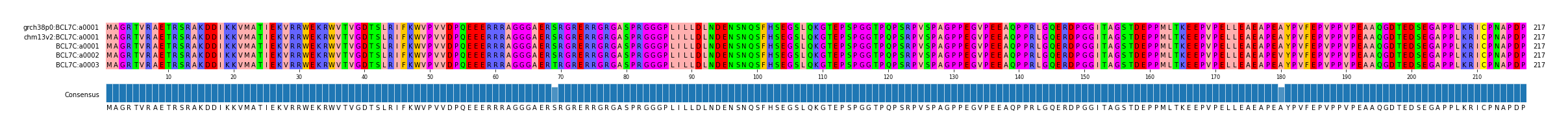 Multiple Alignments (by translate haplotype frequency)
