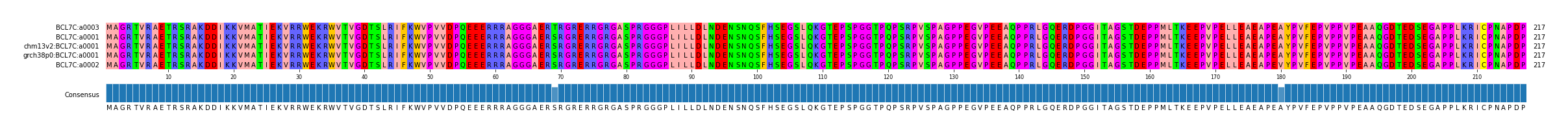 Multiple Alignments (by translate haplotype similarity)