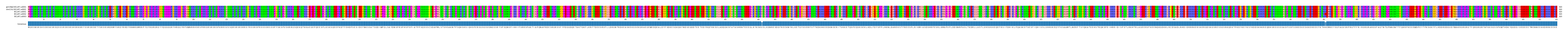 Multiple Alignments (by translate haplotype frequency)