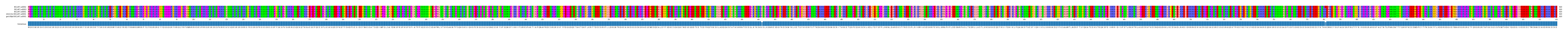 Multiple Alignments (by translate haplotype similarity)