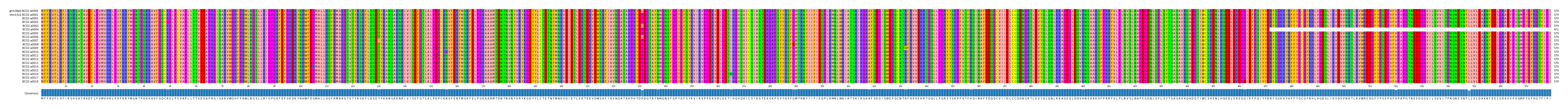 Multiple Alignments (by translate haplotype frequency)