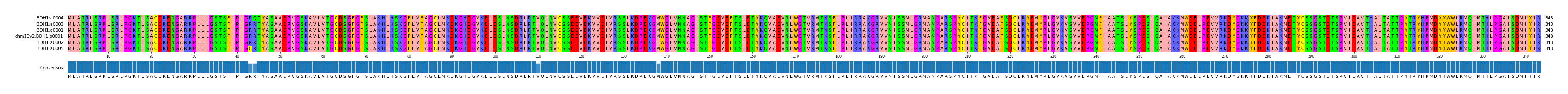 Multiple Alignments (by translate haplotype similarity)