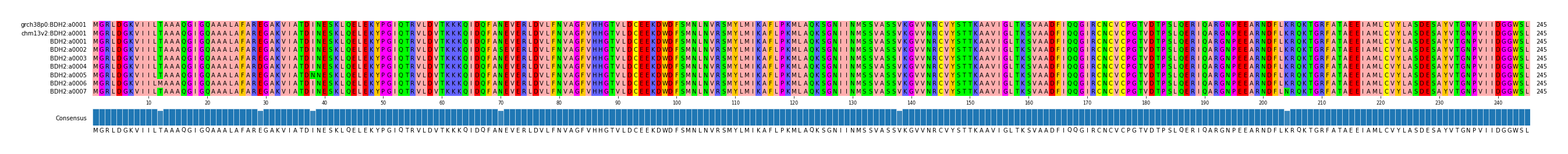 Multiple Alignments (by translate haplotype frequency)