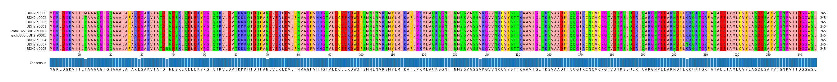 Multiple Alignments (by translate haplotype similarity)