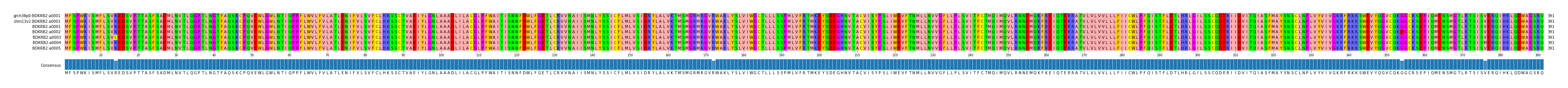 Multiple Alignments (by translate haplotype frequency)