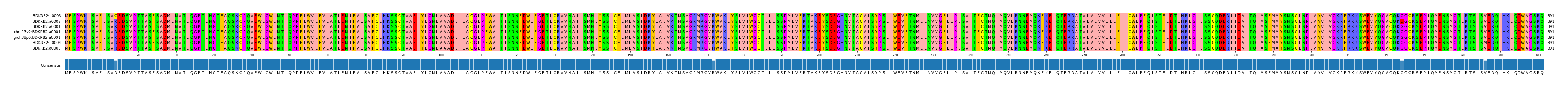 Multiple Alignments (by translate haplotype similarity)