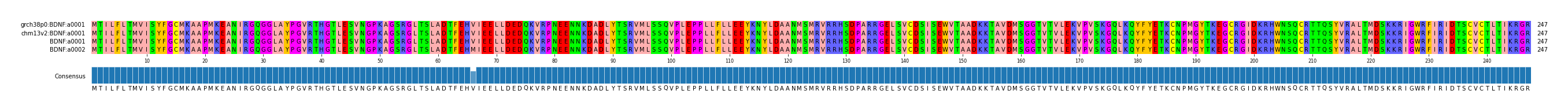 Multiple Alignments (by translate haplotype similarity)