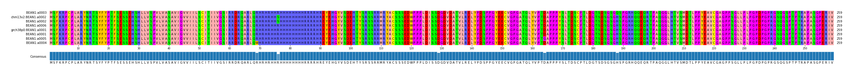 Multiple Alignments (by translate haplotype similarity)