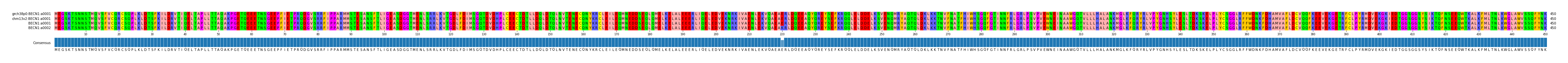 Multiple Alignments (by translate haplotype similarity)