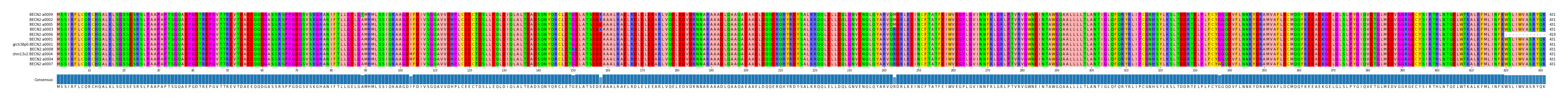 Multiple Alignments (by translate haplotype similarity)