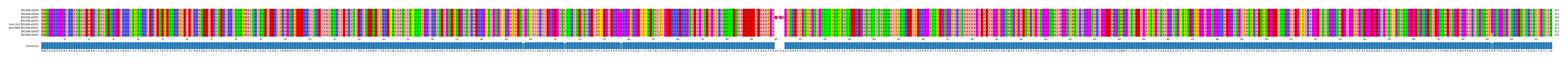 Multiple Alignments (by translate haplotype similarity)