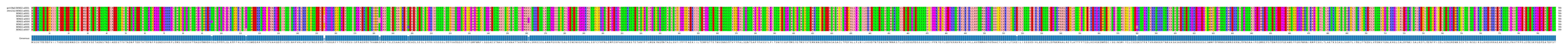 Multiple Alignments (by translate haplotype frequency)