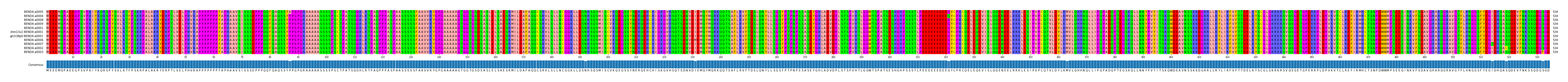 Multiple Alignments (by translate haplotype similarity)