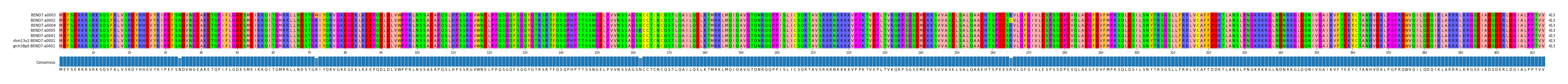 Multiple Alignments (by translate haplotype similarity)