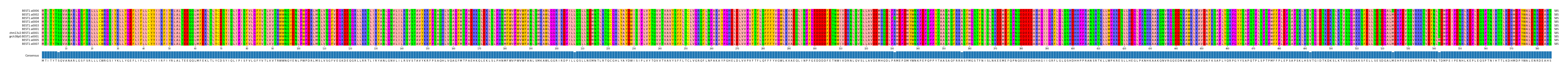 Multiple Alignments (by translate haplotype similarity)