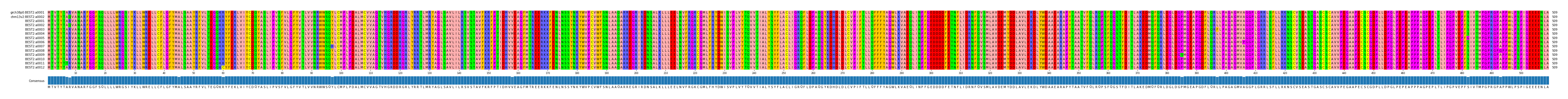 Multiple Alignments (by translate haplotype frequency)