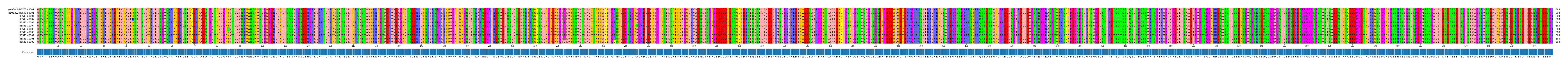 Multiple Alignments (by translate haplotype frequency)