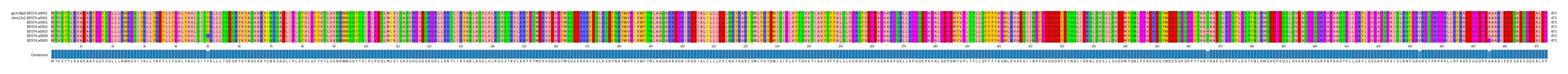 Multiple Alignments (by translate haplotype frequency)