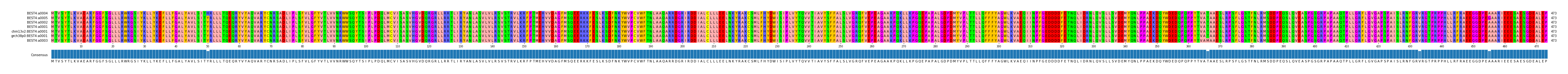 Multiple Alignments (by translate haplotype similarity)