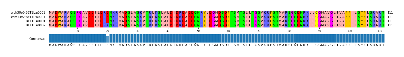 Multiple Alignments (by translate haplotype frequency)