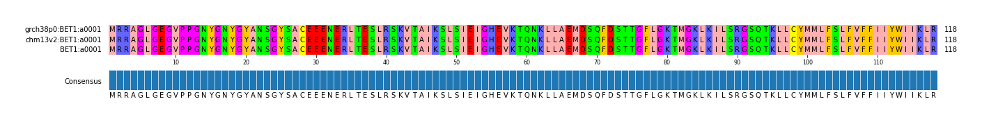 Multiple Alignments (by translate haplotype similarity)