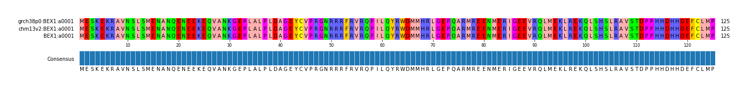 Multiple Alignments (by translate haplotype similarity)