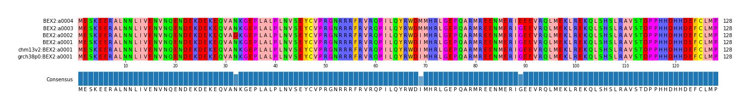 Multiple Alignments (by translate haplotype similarity)