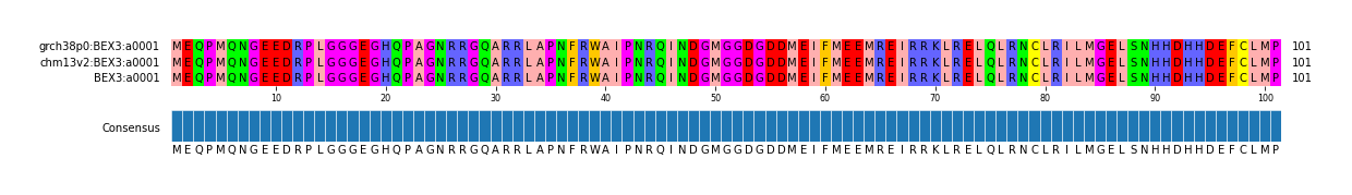 Multiple Alignments (by translate haplotype frequency)