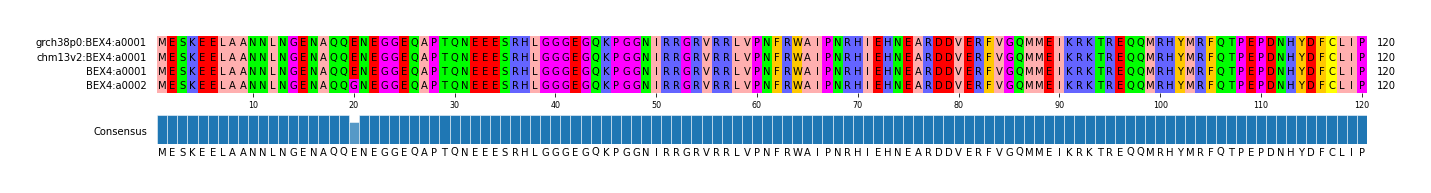 Multiple Alignments (by translate haplotype similarity)