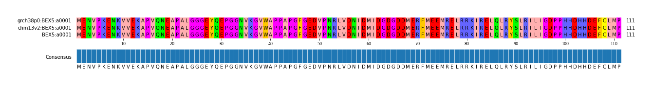 Multiple Alignments (by translate haplotype similarity)