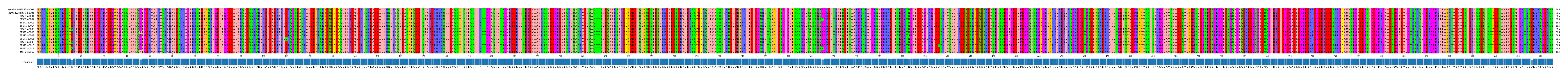 Multiple Alignments (by translate haplotype frequency)