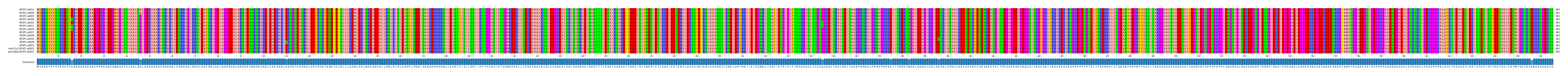 Multiple Alignments (by translate haplotype similarity)