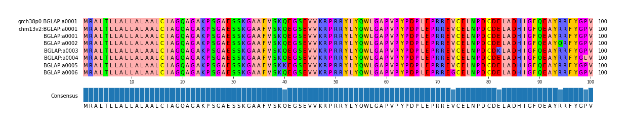 Multiple Alignments (by translate haplotype frequency)