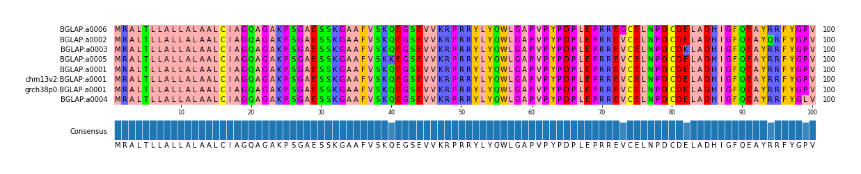 Multiple Alignments (by translate haplotype similarity)