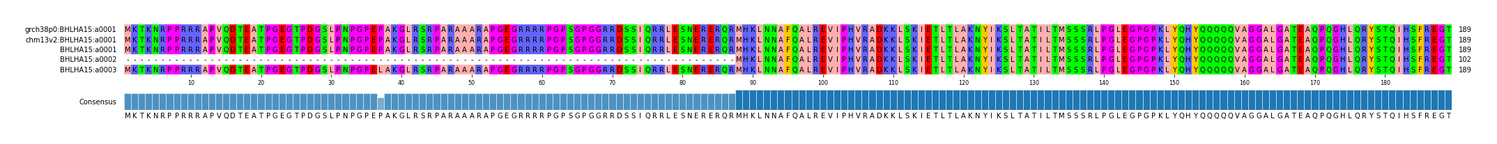 Multiple Alignments (by translate haplotype similarity)