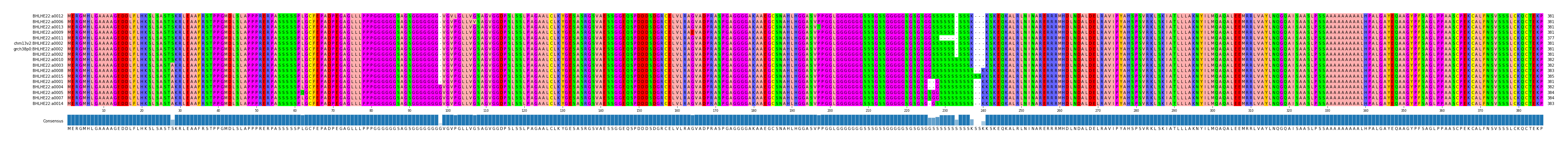 Multiple Alignments (by translate haplotype similarity)