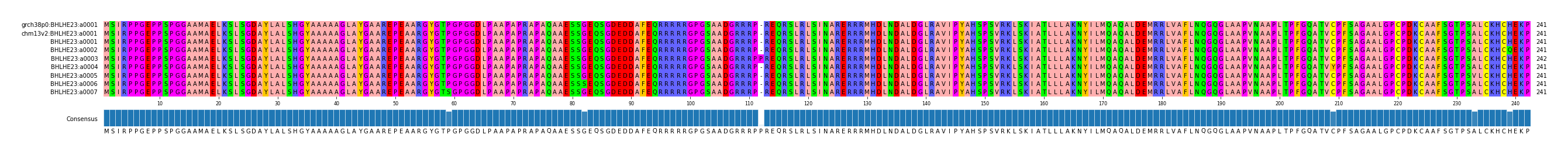Multiple Alignments (by translate haplotype frequency)